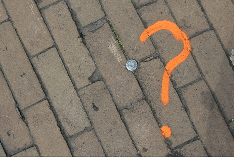 Professor-role-in-question